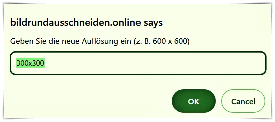 Ändern Sie die Auflösung des kreisförmig zugeschnittenen Bildes.